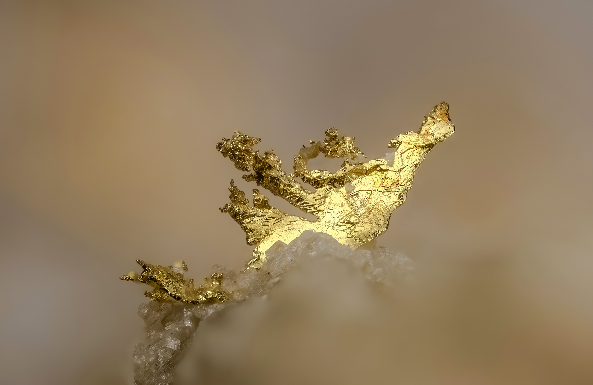 About Camera Mineralia
